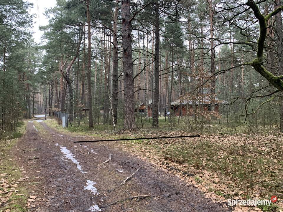 Świetna działka sprzedam 2560m2 Wilga