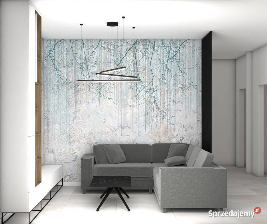 Domy 105m2 dew pod Krakowem 7800m2 Koło PKP małopolskie
