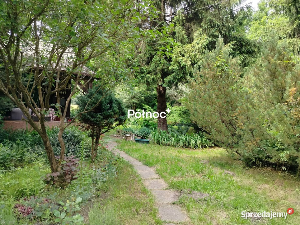 piękne ranczo z łąką i lasem pod HoryńcemZdrojem Dziewięcierz sprzedam