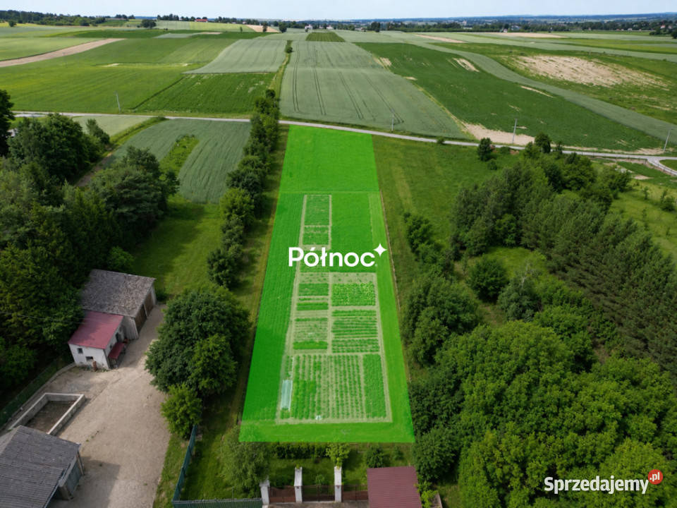 Działka budowlana 4400 m2 Krakowskie lubelskie Krasnystaw sprzedam