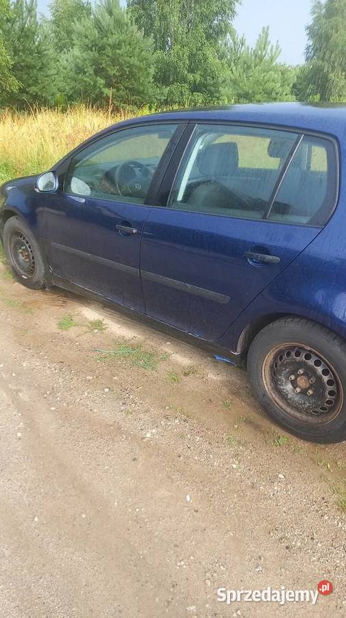 Golf 5 benzyna 14 wielkopolskie Śrem