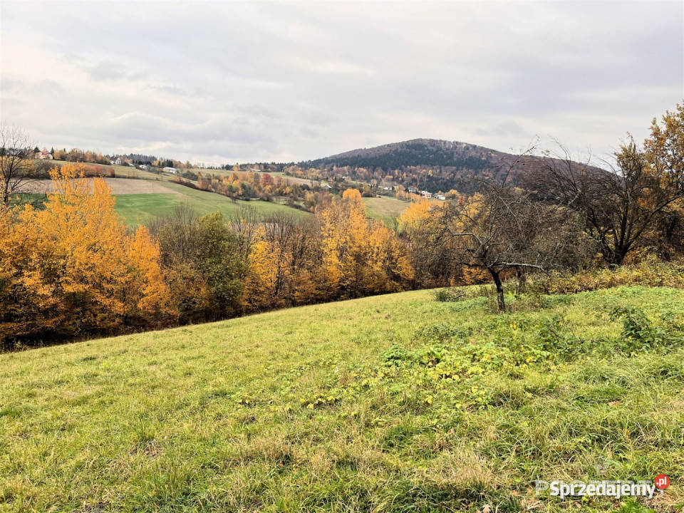 Dom wolnostojący sprzedam Szymbark 110m2 Sprzedaż sprzedam