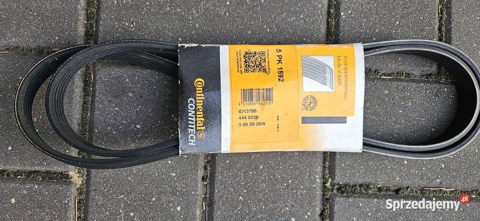 Nowy Pasek klinowy Continental 5 PK1592 19tdi Ostrowiec Świętokrzyski