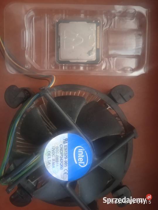Intel Celeron G1610 2x26GHz 22nm 55W LGA1155 kujawsko-pomorskie