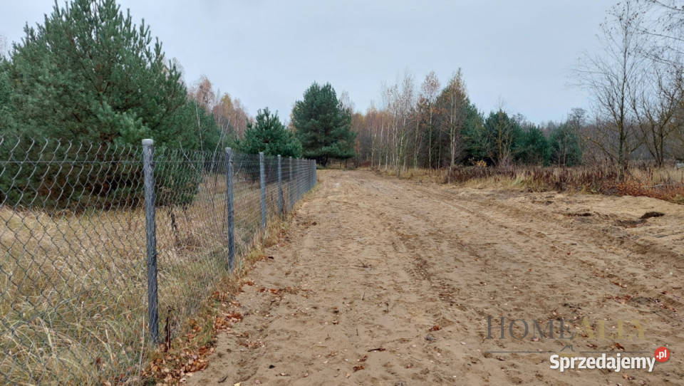 Grunt 11500m2 Leoncin mazowieckie