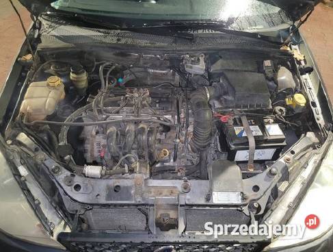 Ford Focus I sprzedaż syndyka Focus Gryfice