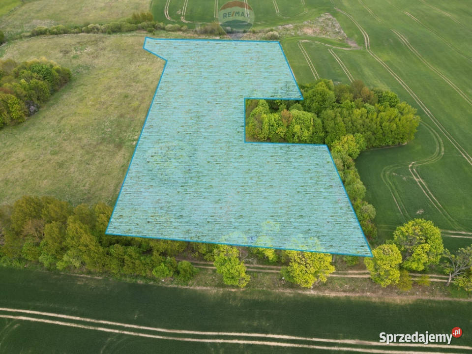 Ziemia rolna na sprzedaż Dębnik k Reszla