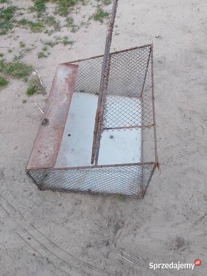 Wylot golebikrata Krzywda