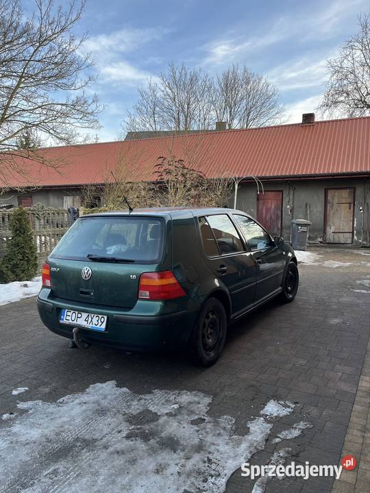 Sprzedam Golfa IV Silnik 16 Opoczno