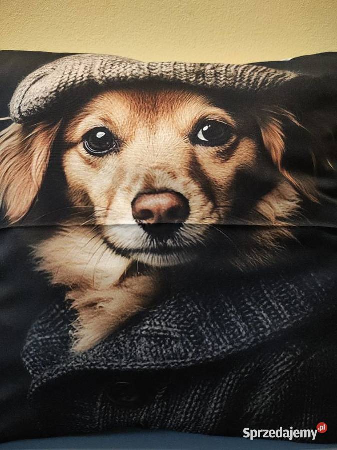 Poszewka na poduszkę Wyposażenie wnętrz łódzkie Łódź