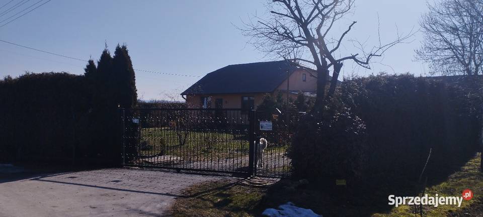 Siedlisko Czernięcin 225 ha dom 148 m 600 000 garaż Czernięcin Poduchowny