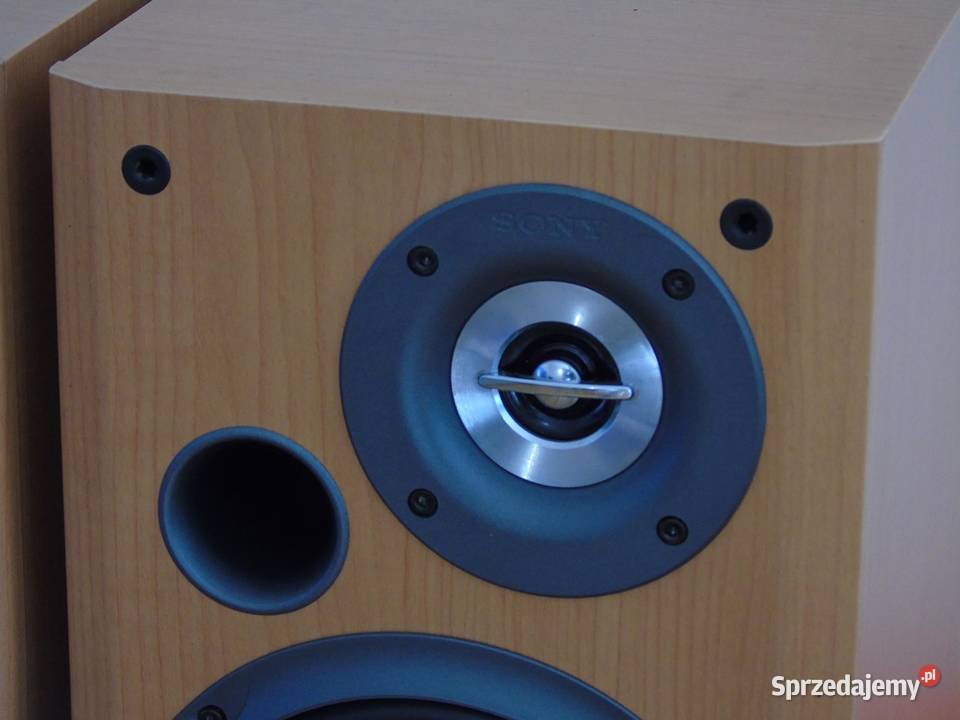 Kolumny Sony SSCCP300 śliczne i sprawne WYSYŁKA sprzedam