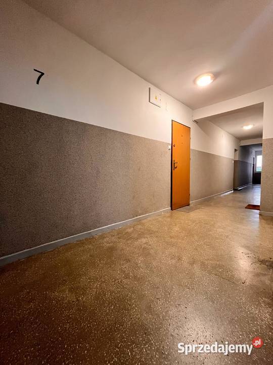 2pok 37met Legnicka PIWNICAWINDA Wrocław