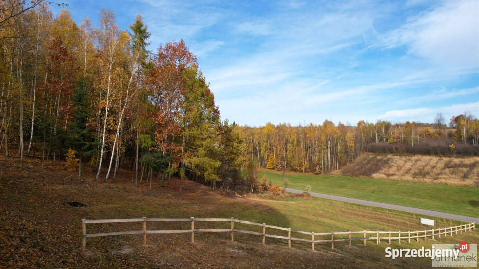 Działka 4182m2 TeodorówkaKolonia Teodorówka-Kolonia