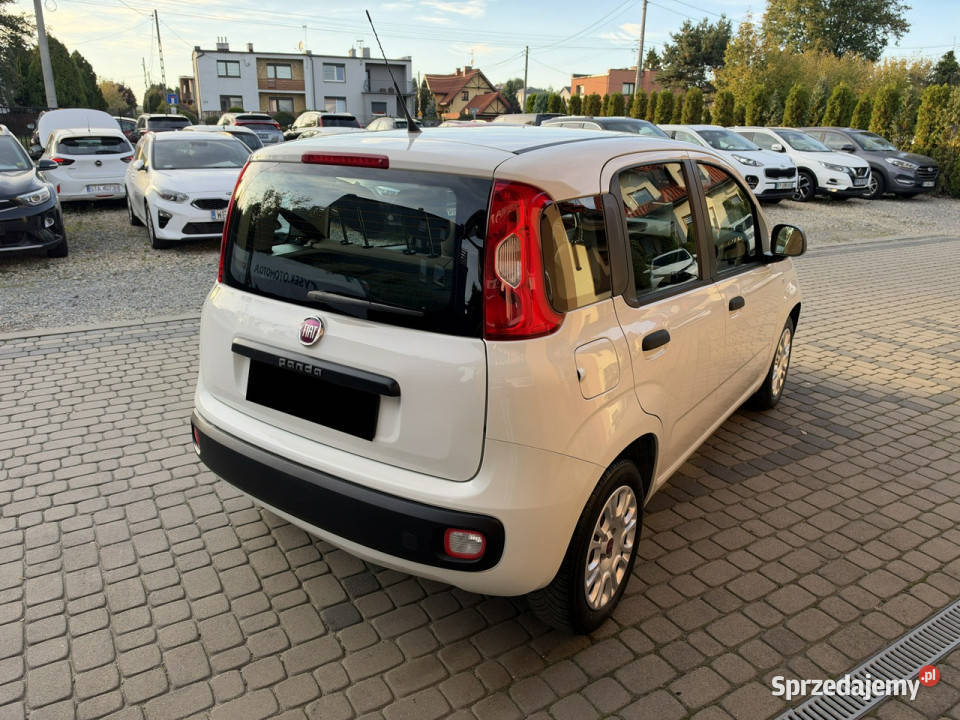Fiat Panda Rezerwacja II 20032012 66000km śląskie Orzech