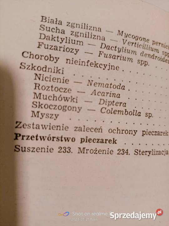 Pieczarka książki Szudyga księgarnia internetowa Warszawa