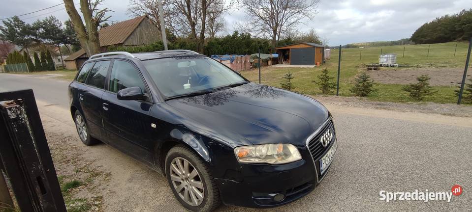 Audi a 4 b 7 Wierzyce