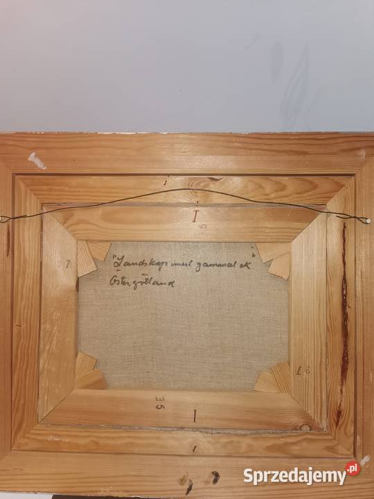 100 letni obraz olejny Wieruszów