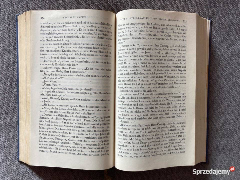 Thomas Mann Der Zauberberg sprzedam