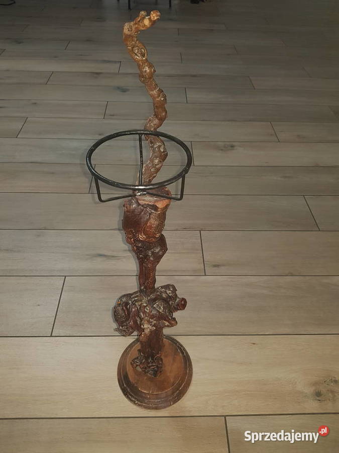 Kwietnik z korzenia winorośli