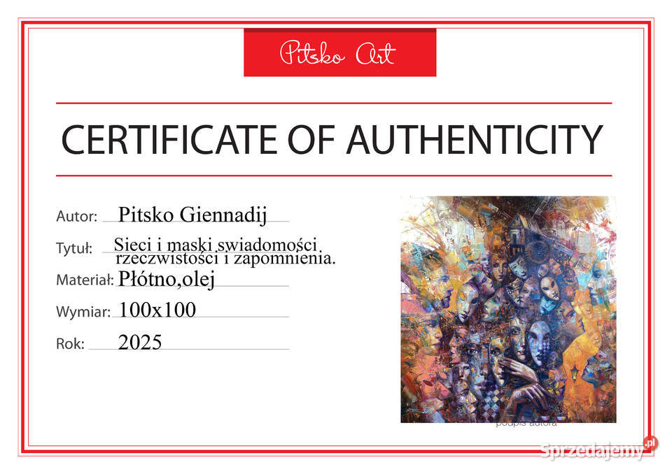 Pitsko Sieci i maski świadomości rzeczywistości Rumia sprzedam