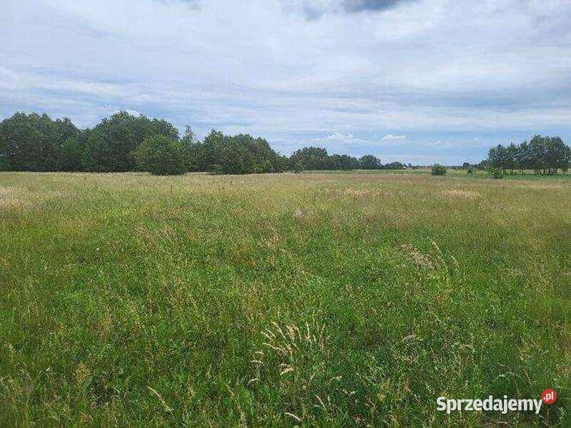 Niezabudowana nieruchomość rolna łączna pow 50700m2 Dziadkowskie-Folwark