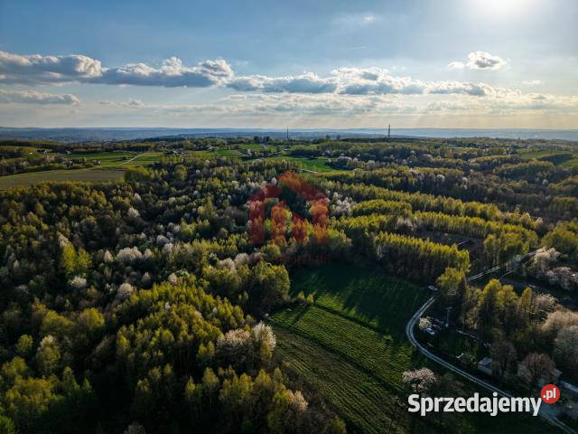 Grunt Kraczkowa 33000m2
