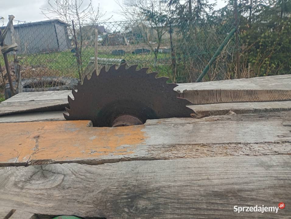 Cyrkularka piła tarczowa do drewna Lubaczów