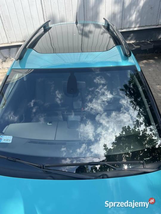 Citron C4 Cactus Wrocław