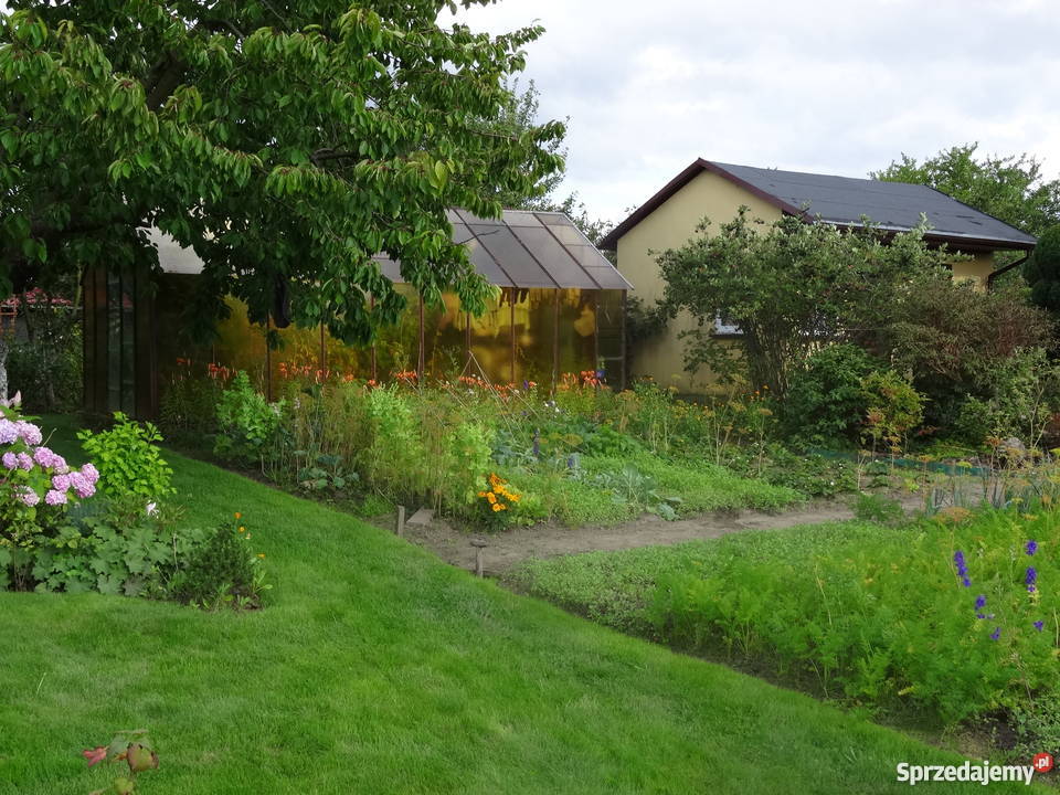 Sprzedam działkę rekreacyjną Janiska Kołobrzeg