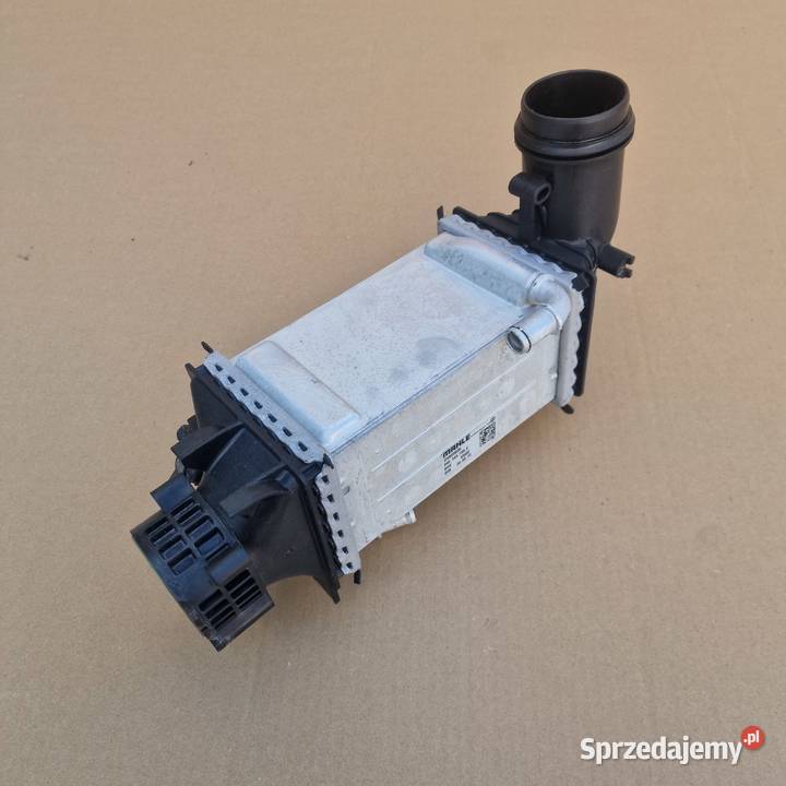 VW INTERCOOLER CHŁODNICA POWIETRZA INTERCOOLER osobowe Bieleń