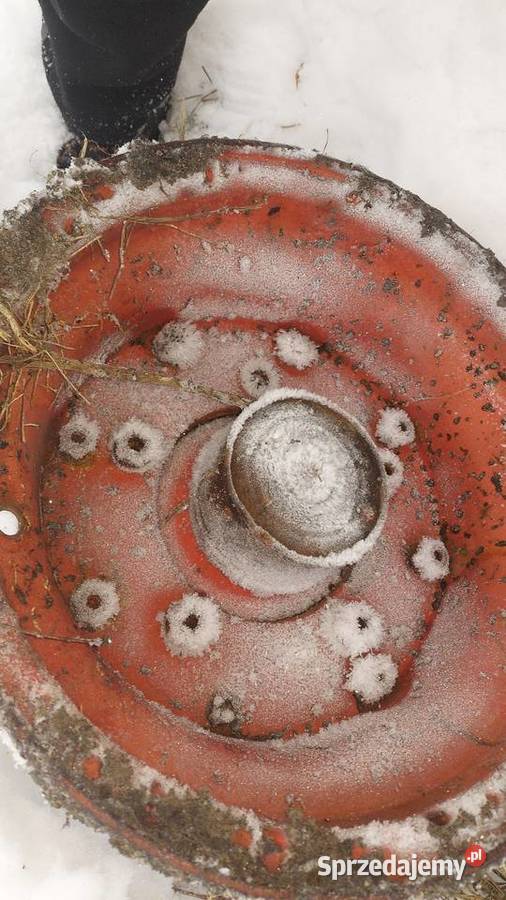 kolo podporowe do pługa Pozostałe Brzozowo Wielkie