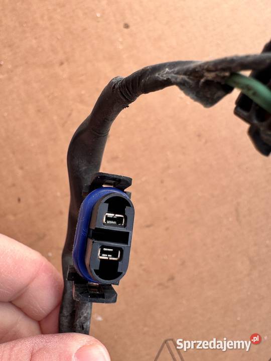 Wiązka halogenu lampy Kia Venga 20092019 Brzesko