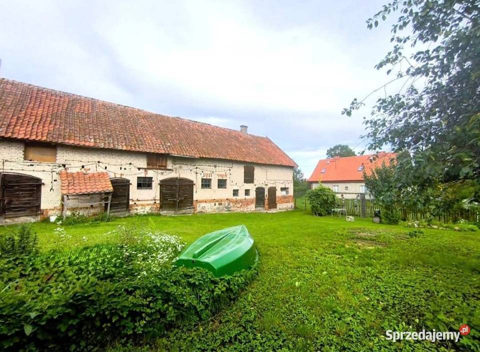 Dom z dużym ogrodem Sprzedaż Prusinowo