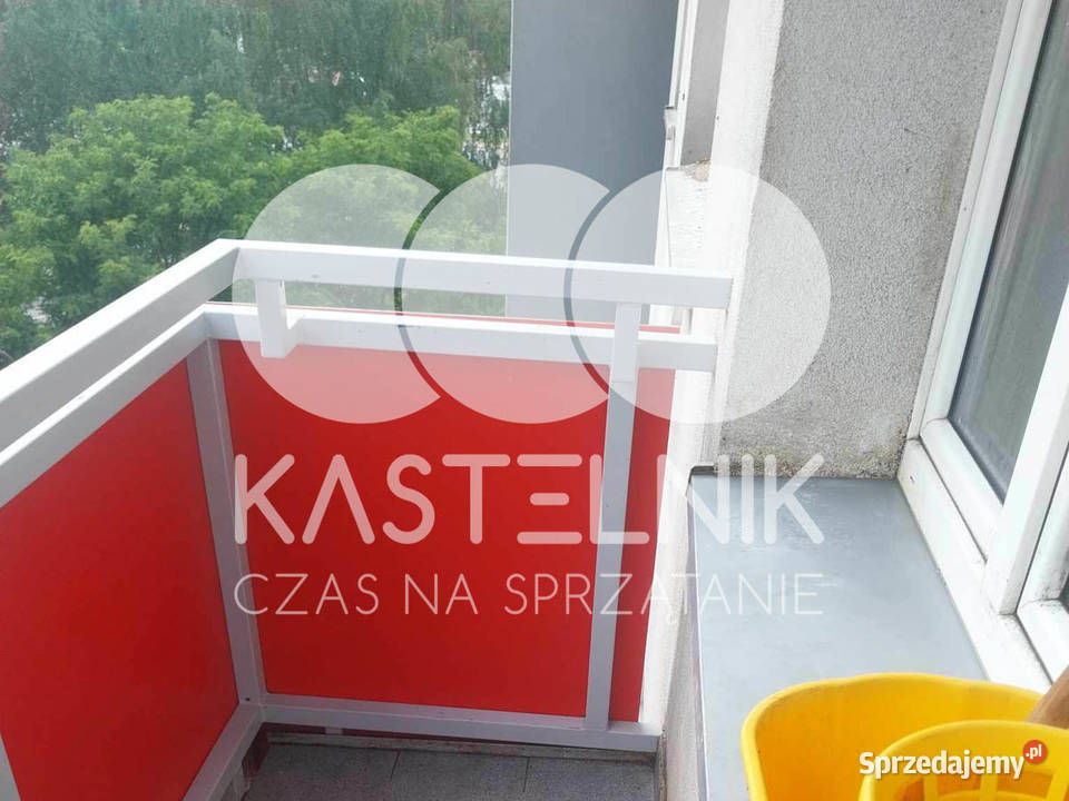 Sprzątanie gołębiach Luboń Kastelnik mycie