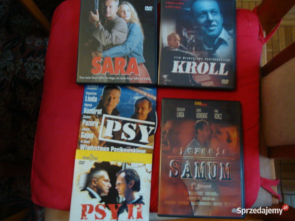 dvd SaraKrollPitbullPsy 1 i 2 mazowieckie