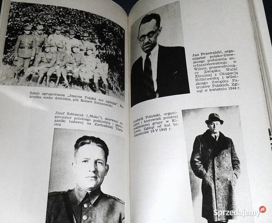 Polacy w europejskim ruchu oporu 19391945 M sprzedam
