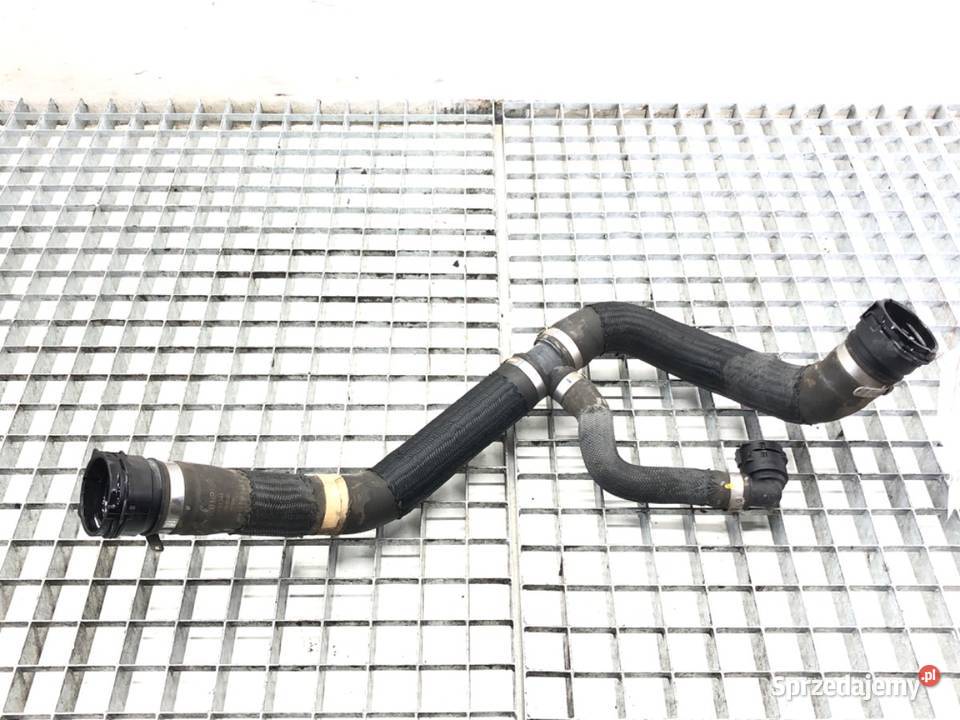 RURA WODY ALFA STELVIO 50551344 20 280 osobowe podkarpackie