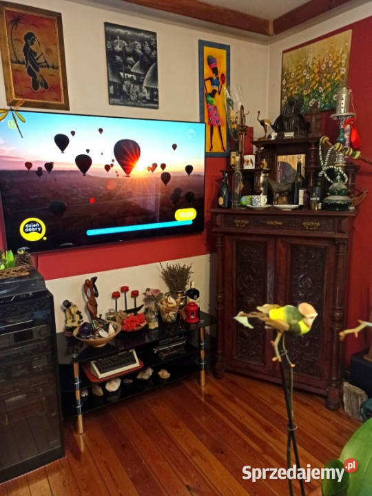 PIĘKNA POSIADŁOŚĆ ZALEWEM WIŚLANYM NAPRZECIW Rok budowy 1935 warmińsko-mazurskie Kadyny