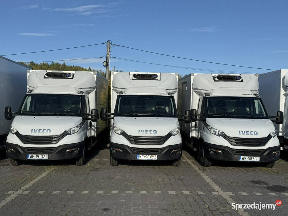Iveco Daily 35C16 V Ford Transit ChłodniaMroźnia świętokrzyskie Widełki
