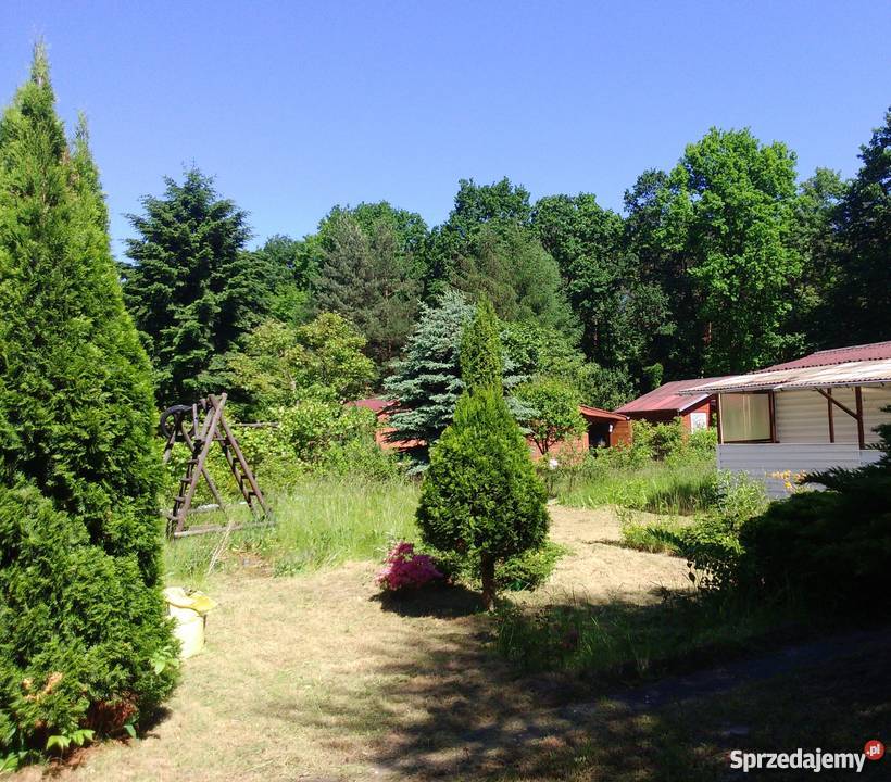 sprzedam działkę ROD Szczaki sprzedam