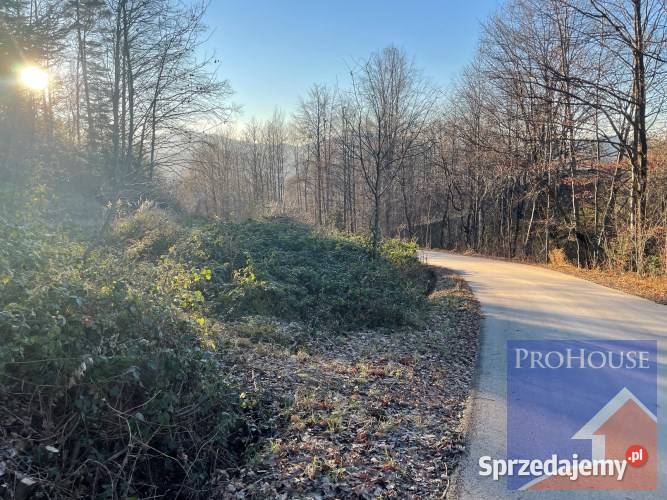Działka leśnorolna 30 arów Limanowa Słoneczna 2985m2