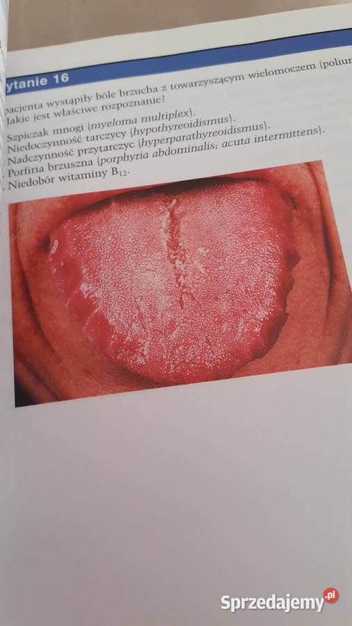 Przygotowanie do praktycznych egzamów Szczecin