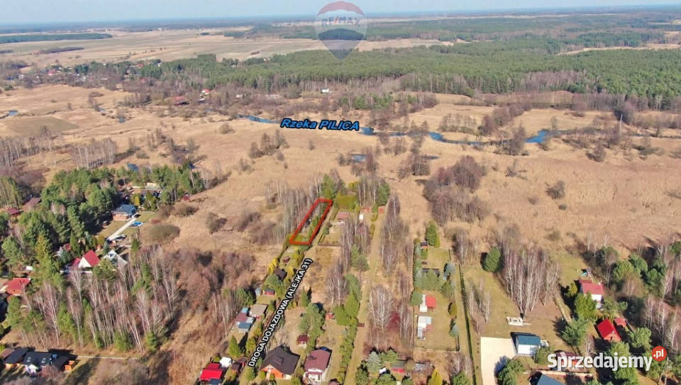 Działka rekreacyjna 815 m Szyszki lasu