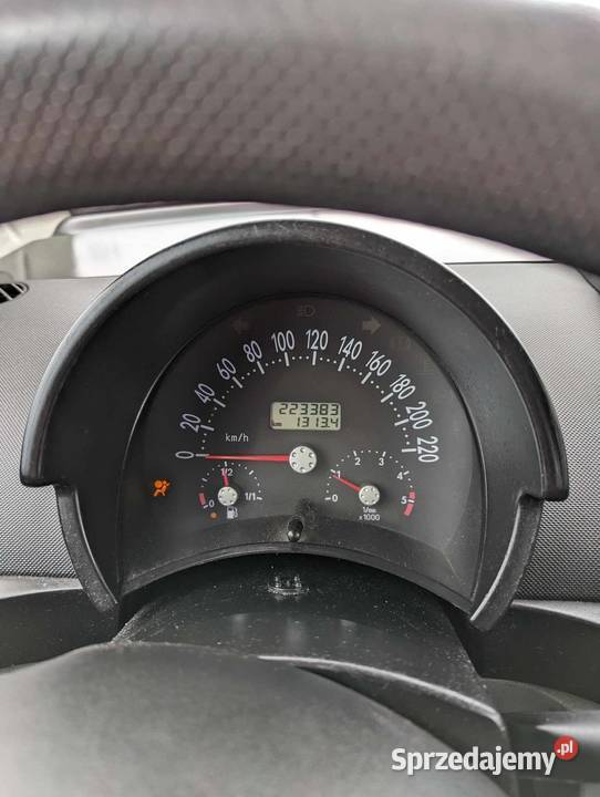 VOLKSWAGEN Beetle Cedry Małe