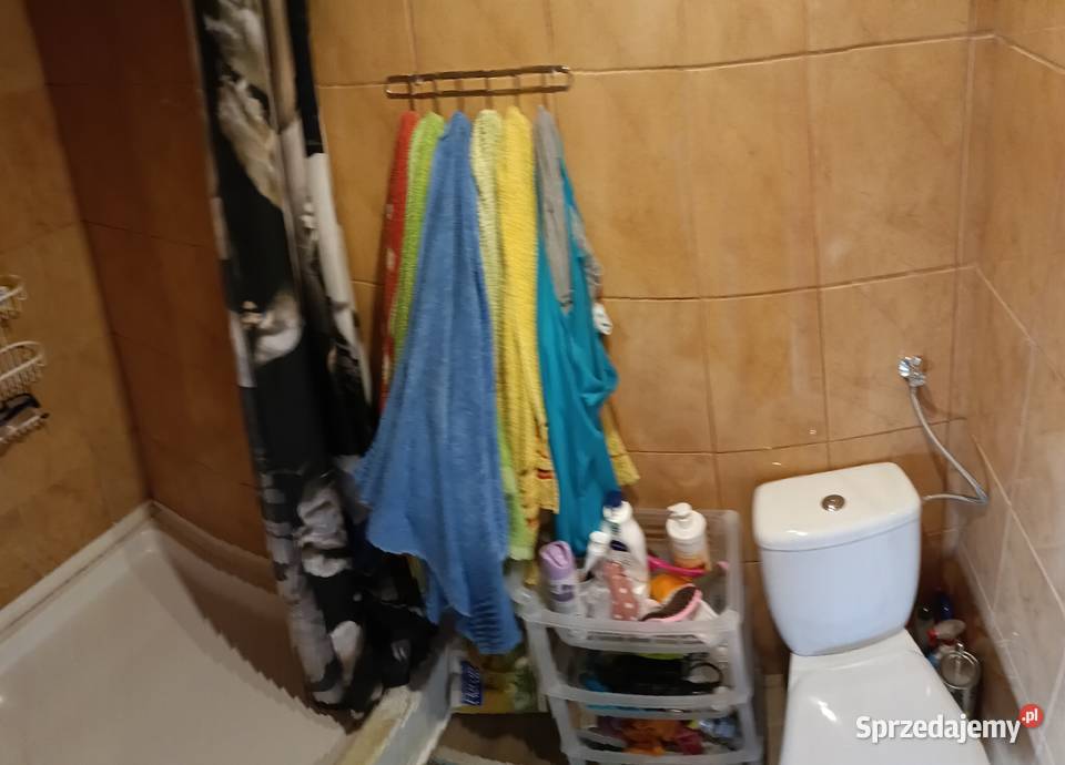 Działka ROD Zacisze Puławy lubelskie