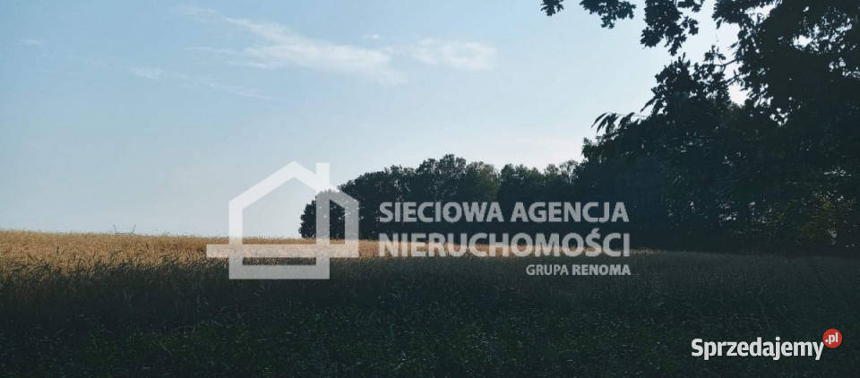 Grunt na sprzedaż 32911m2 Wilkowo Nowowiejskie 32911m2