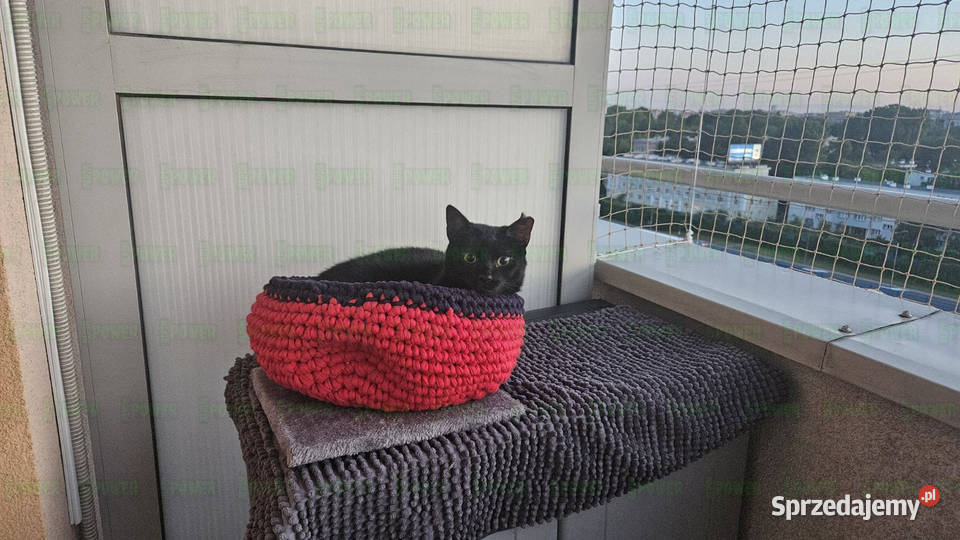 Siatki zabezpieczające przed ptakami Montaż Warszawa