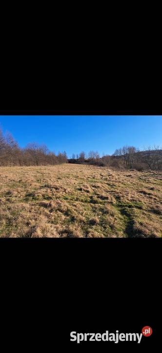 Sprzedam atrakcyjną działkę budowlaną dewelopera 7063m2 Dobczyce