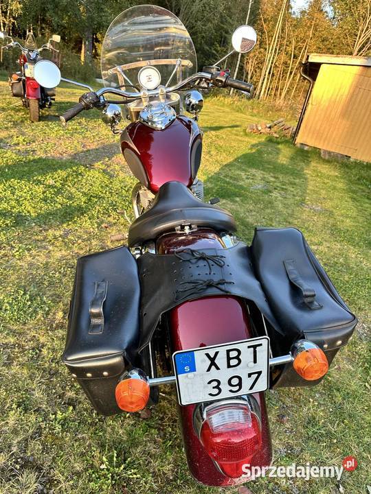 Triumph America Włodawa